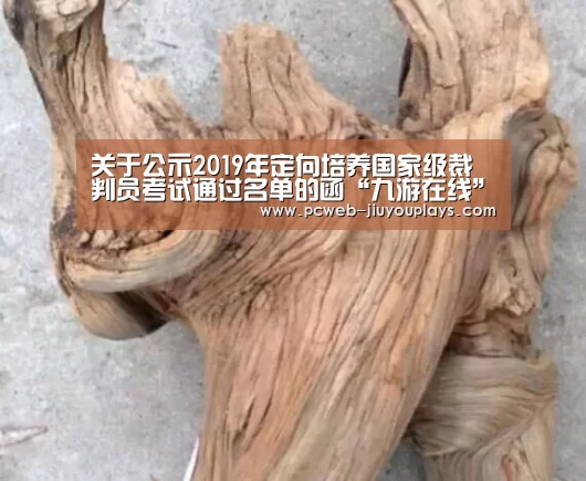 关于公示2019年定向培养国家级裁判员考试通过名单的函“九游在线”(图1) 九游首页